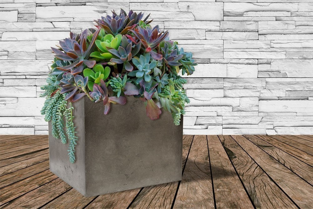 Urban Outdoor Concrete Planter