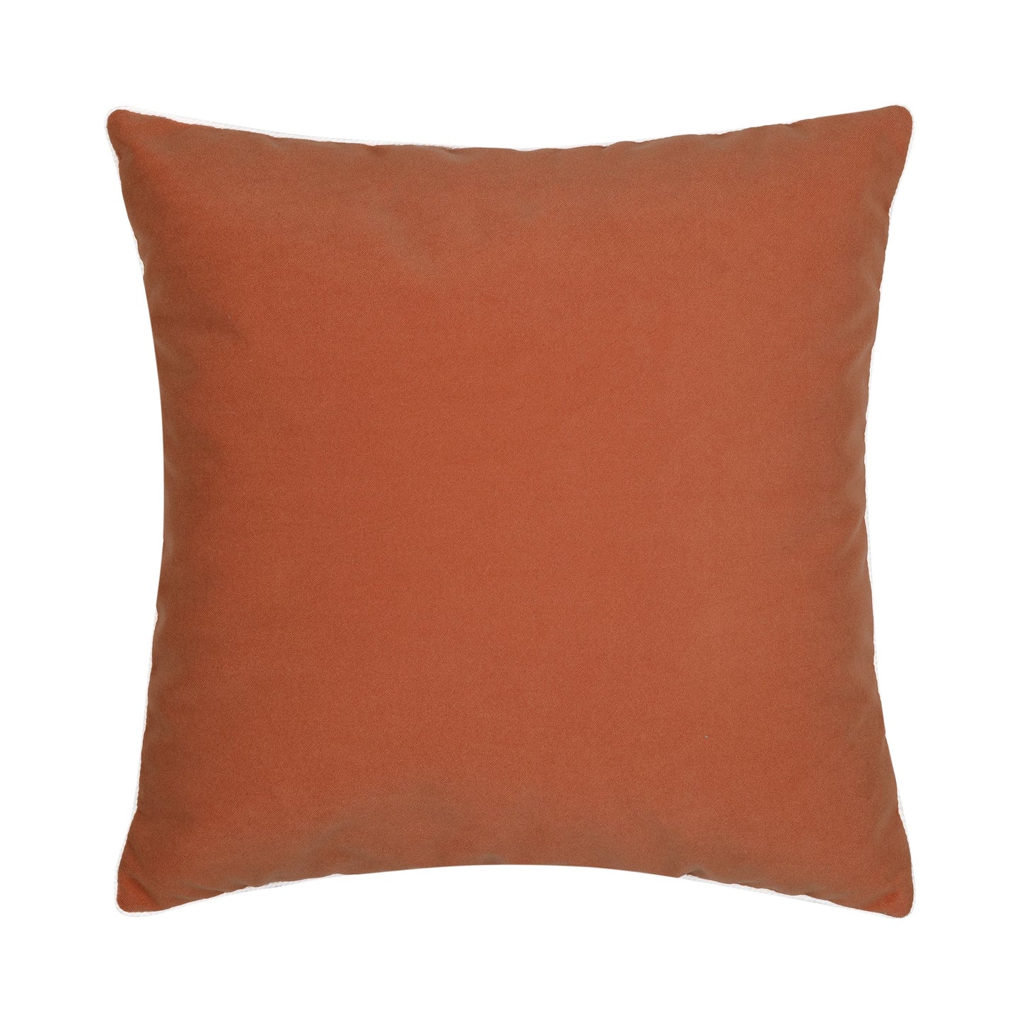 Elaine Smith Lush Velvet Papaya, Corded* Outdoor Pillow 22" x 22"