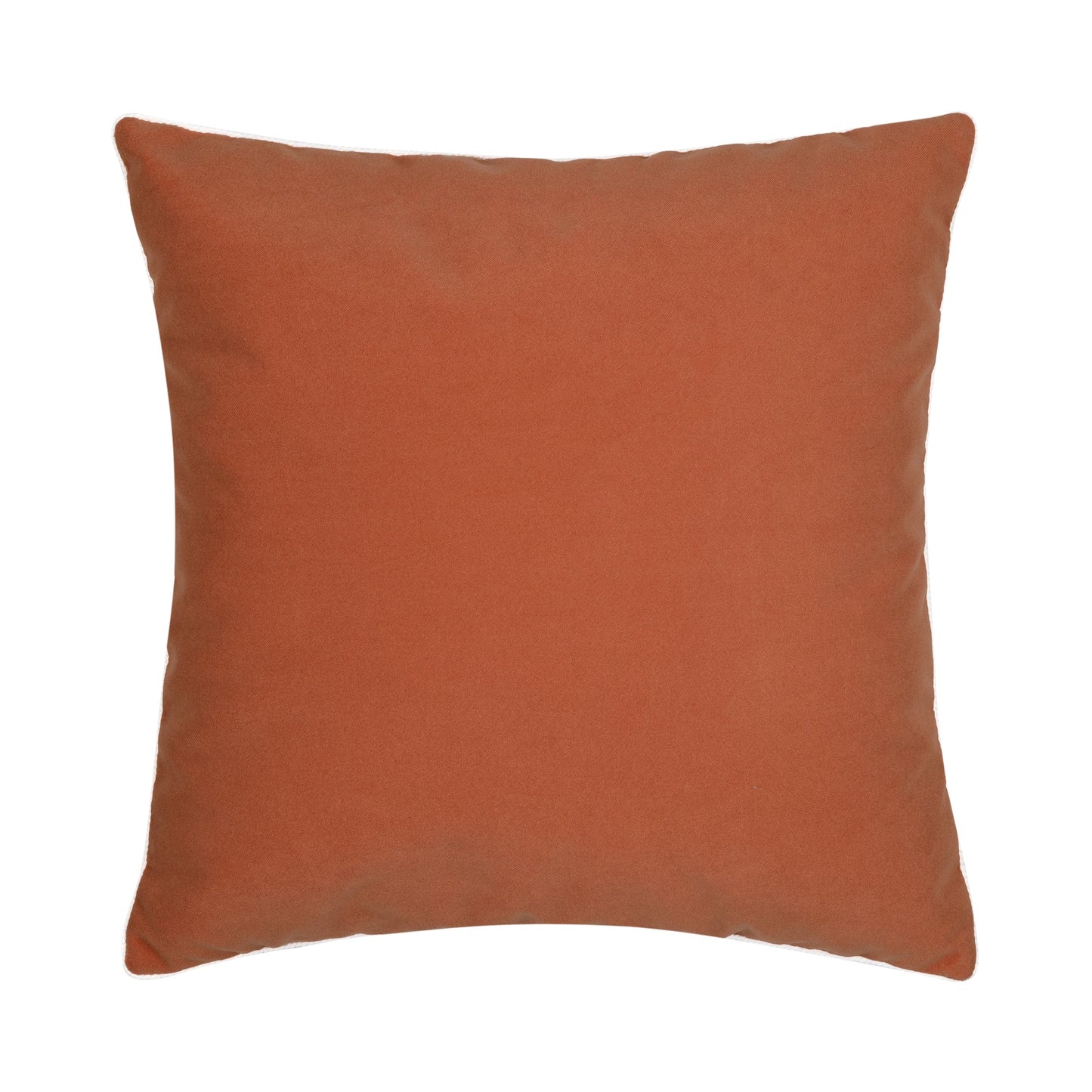 Elaine Smith Lush Velvet Papaya/Tiffany, Corded* Outdoor Pillow 22" x 22"
