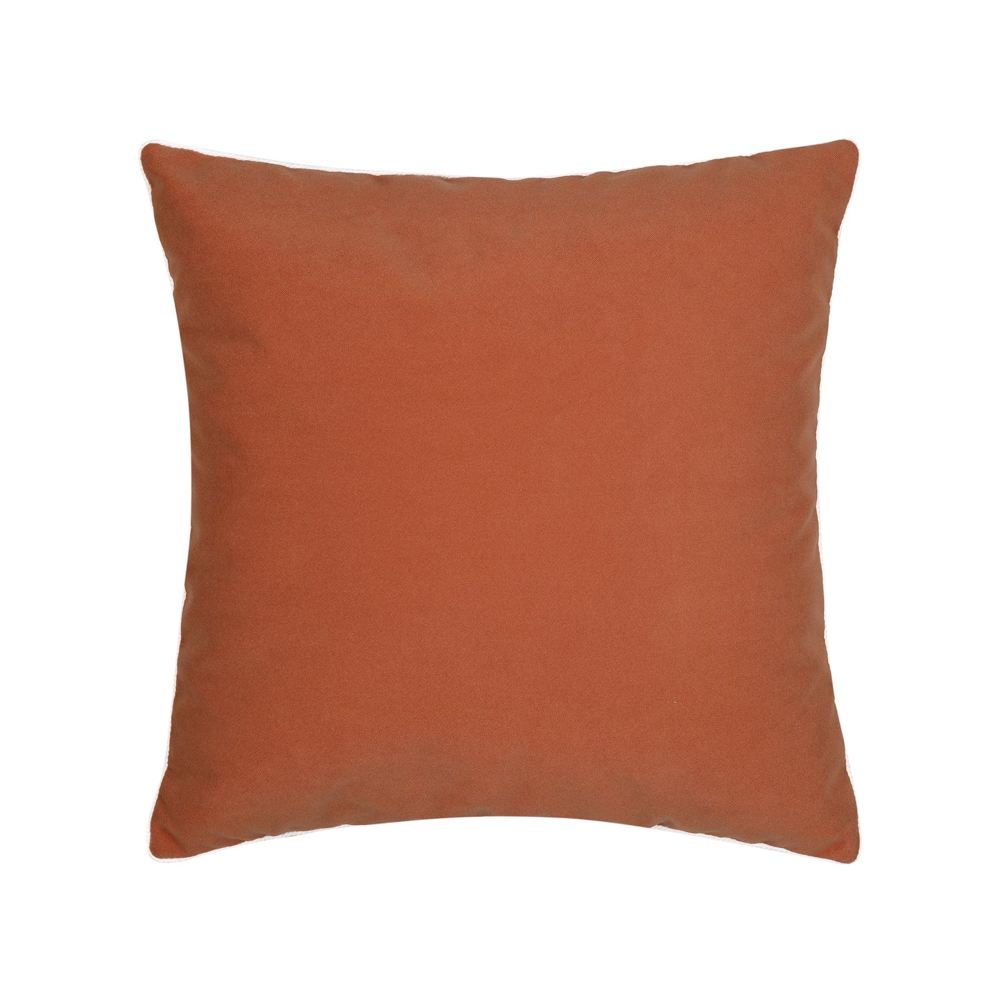 Elaine Smith Lush Velvet Papaya, Corded Outdoor Pillow 20" x 20"