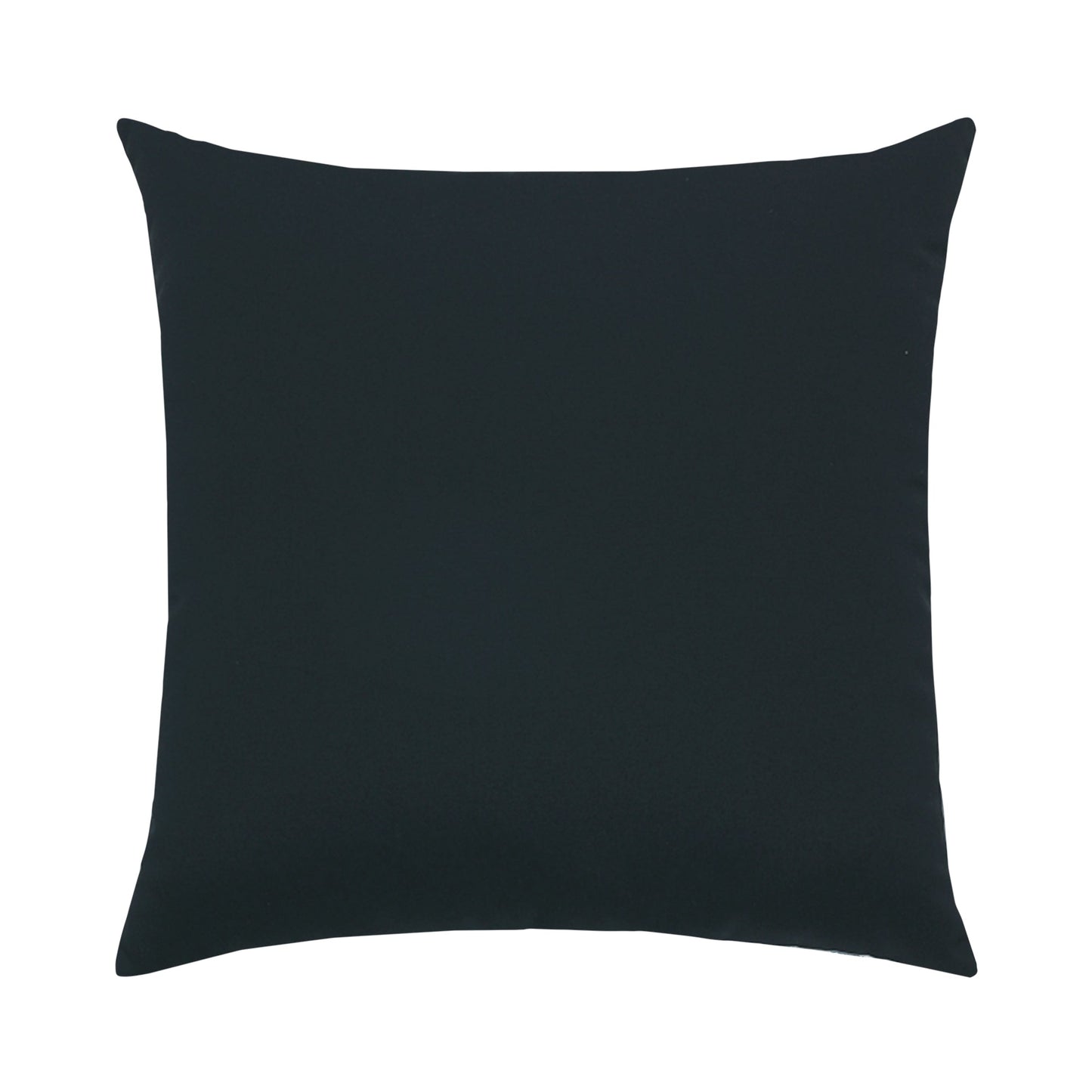 Elaine Smith Canvas Black* Outdoor Pillow 22" x 22"
