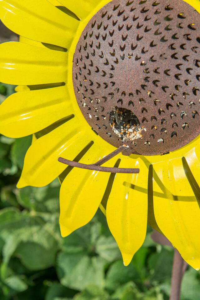 Desert Steel Sunflower Bird Feeder