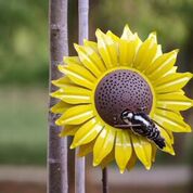 Desert Steel Sunflower Bird Feeder