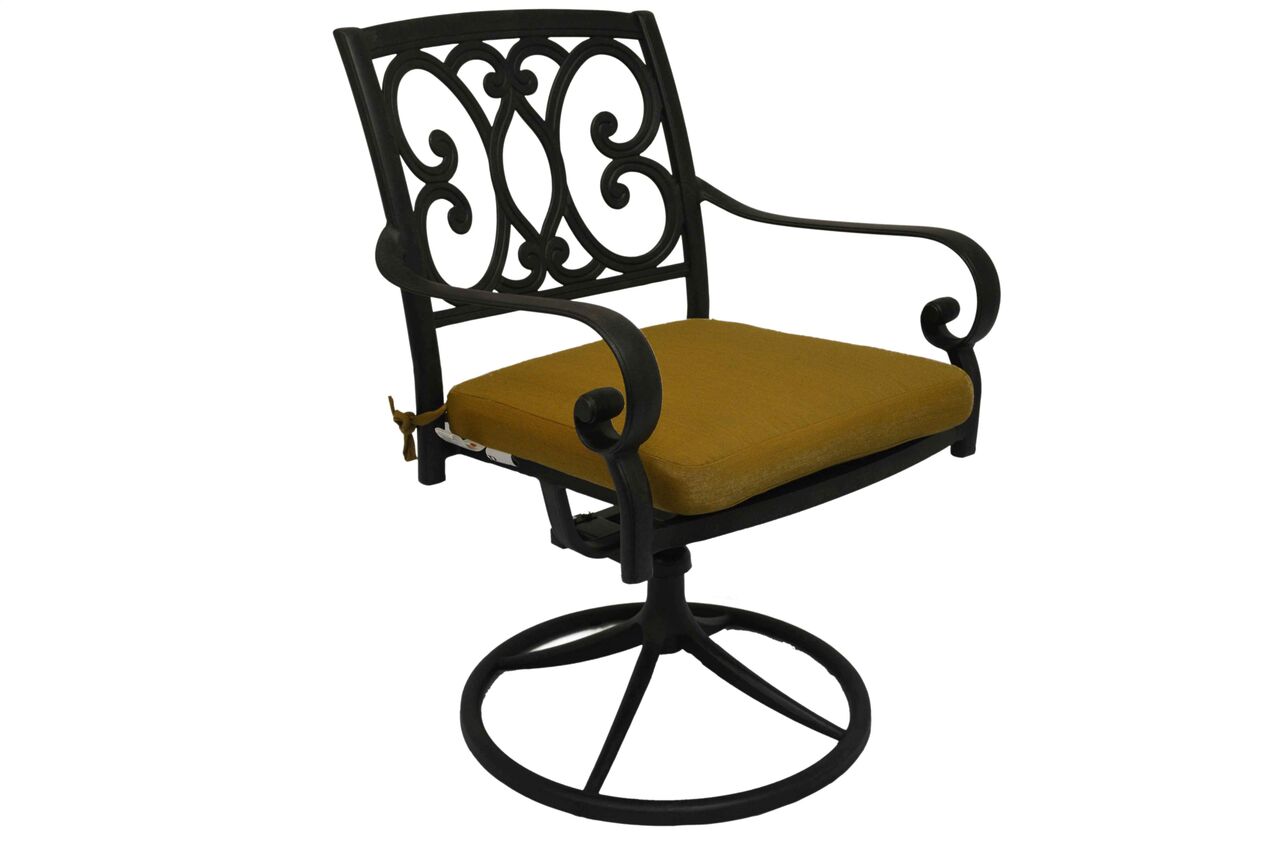 Buena Vista Chair w/ Cushions (not a bar stool)