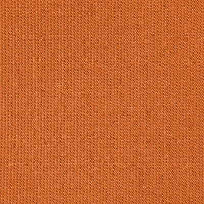 Canvas Rust