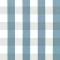 Buffalo Plaid Sky Blue