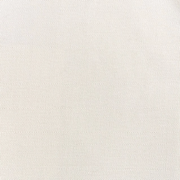 Canvas Canvas