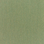 Canvas Fern