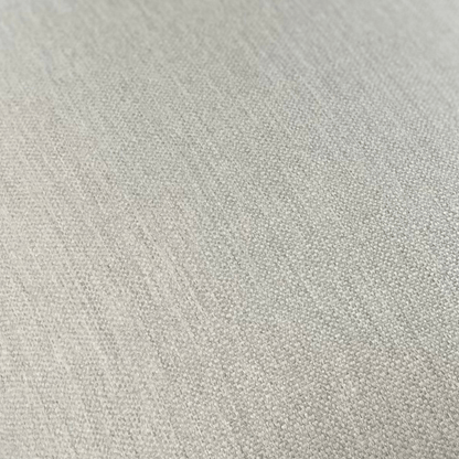 Action Ash Sunbrella Fabric