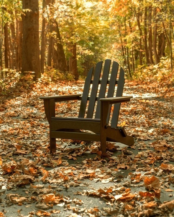 POLYWOOD Classic Folding Adirondack Chair