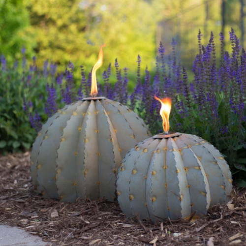 Outdoor Metal Golden Barrel Cactus