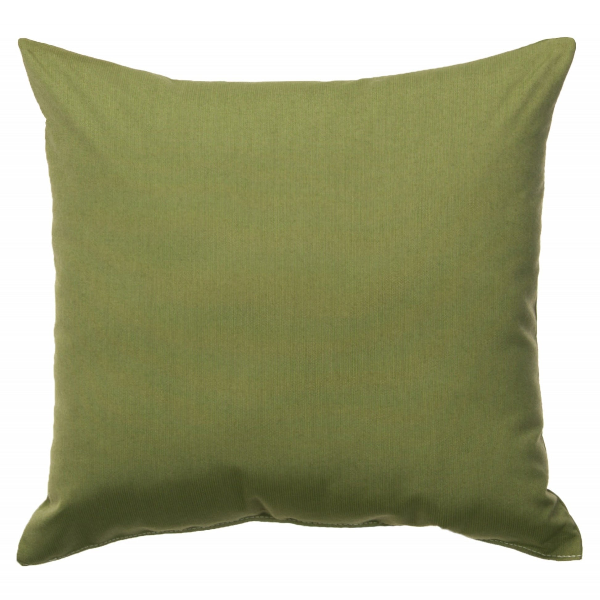 Spectrum Cilantro Sunbrella Throw Pillow